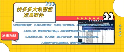 拼多多店群生態全解析 軟件代理、后臺招商與加盟機遇